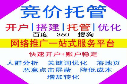揭秘百度竞价排名：实战案例解析